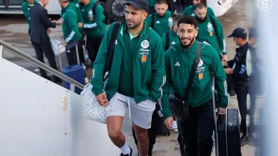 صورة الخضر يطيرون نحو مالابو